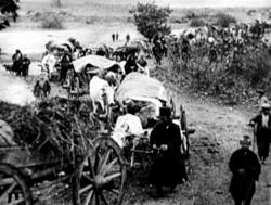 Scene from Vasilis Maros' documentary Tragedy of the Aegean