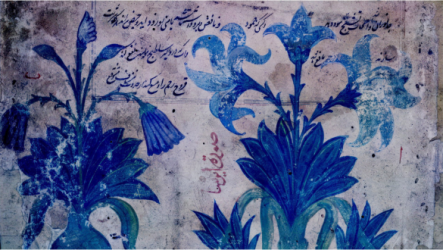 Daria’s Night Flowers