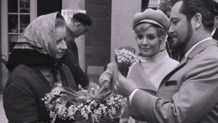 On Wings of Paper (aka Paper Planes)